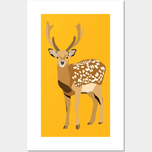 Deer Posters and Art